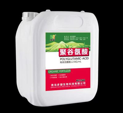 聚谷氨酸