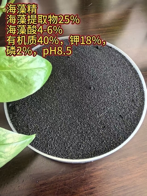 海藻精