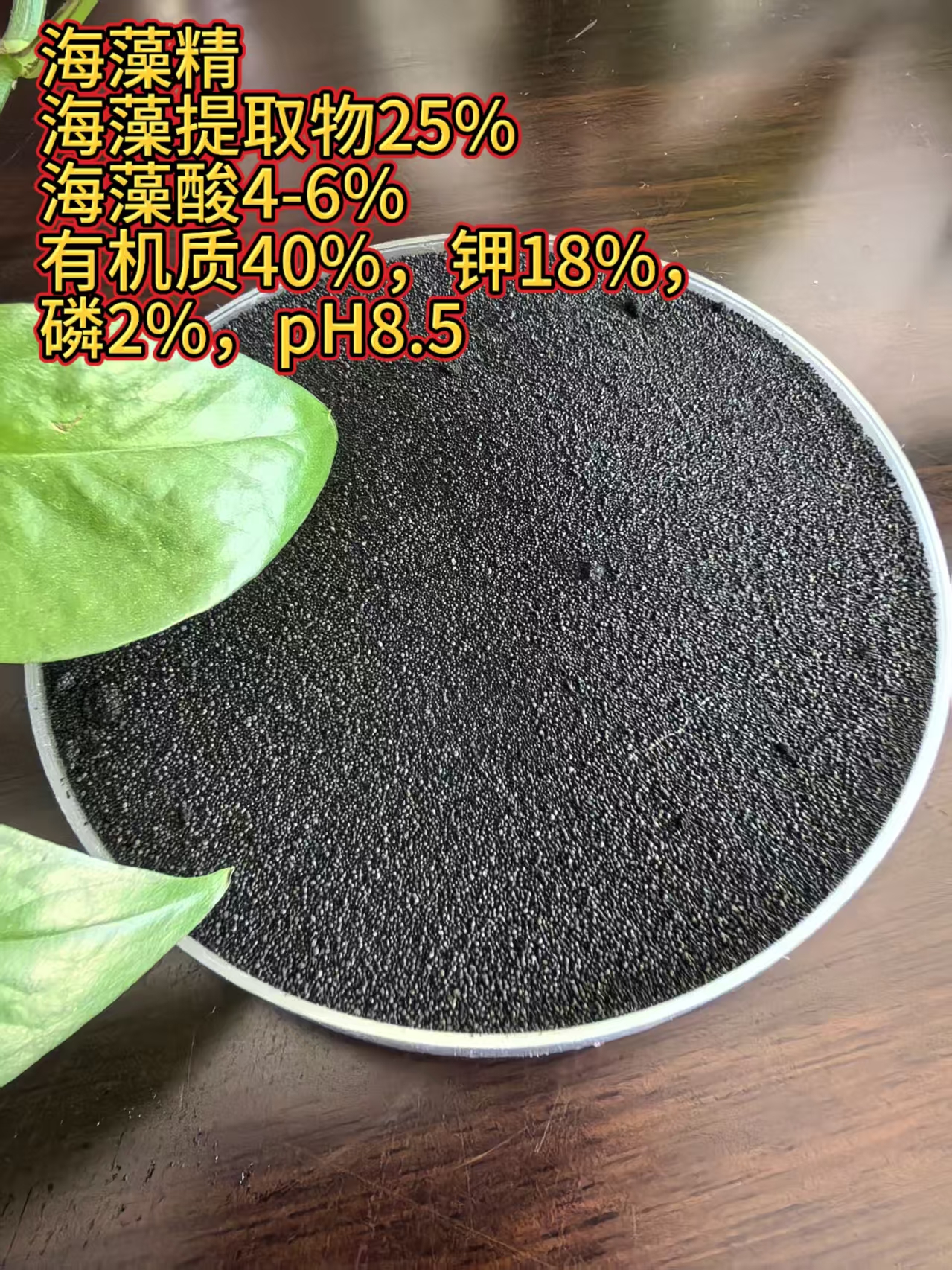 海藻精