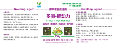 硅动力